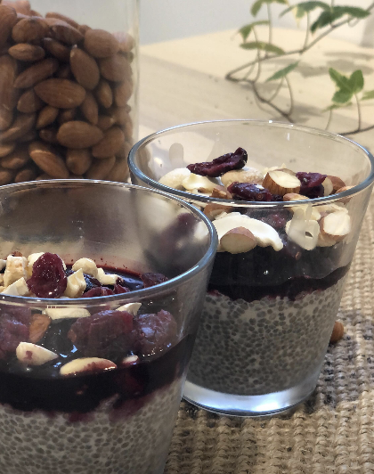 Pudding de Chia