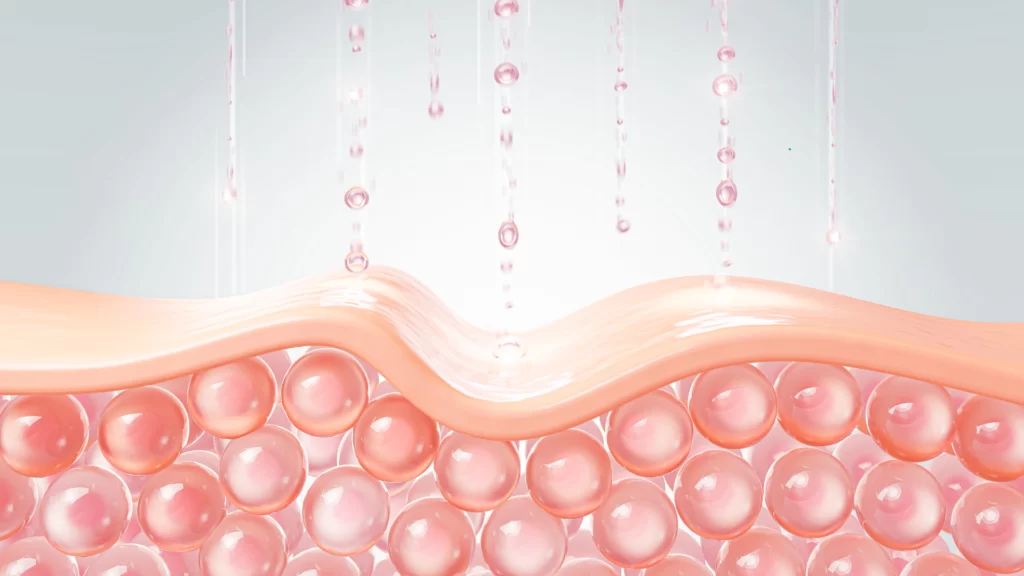 collagene et cellulite